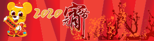 2020 元宵联欢 Lantern Festival