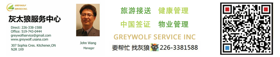 灰太狼 机场服务