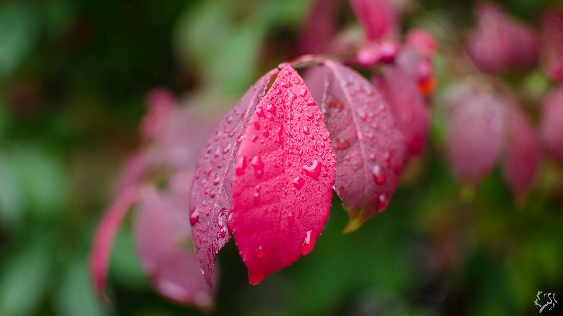 2013-10-13-13-00-04.jpg