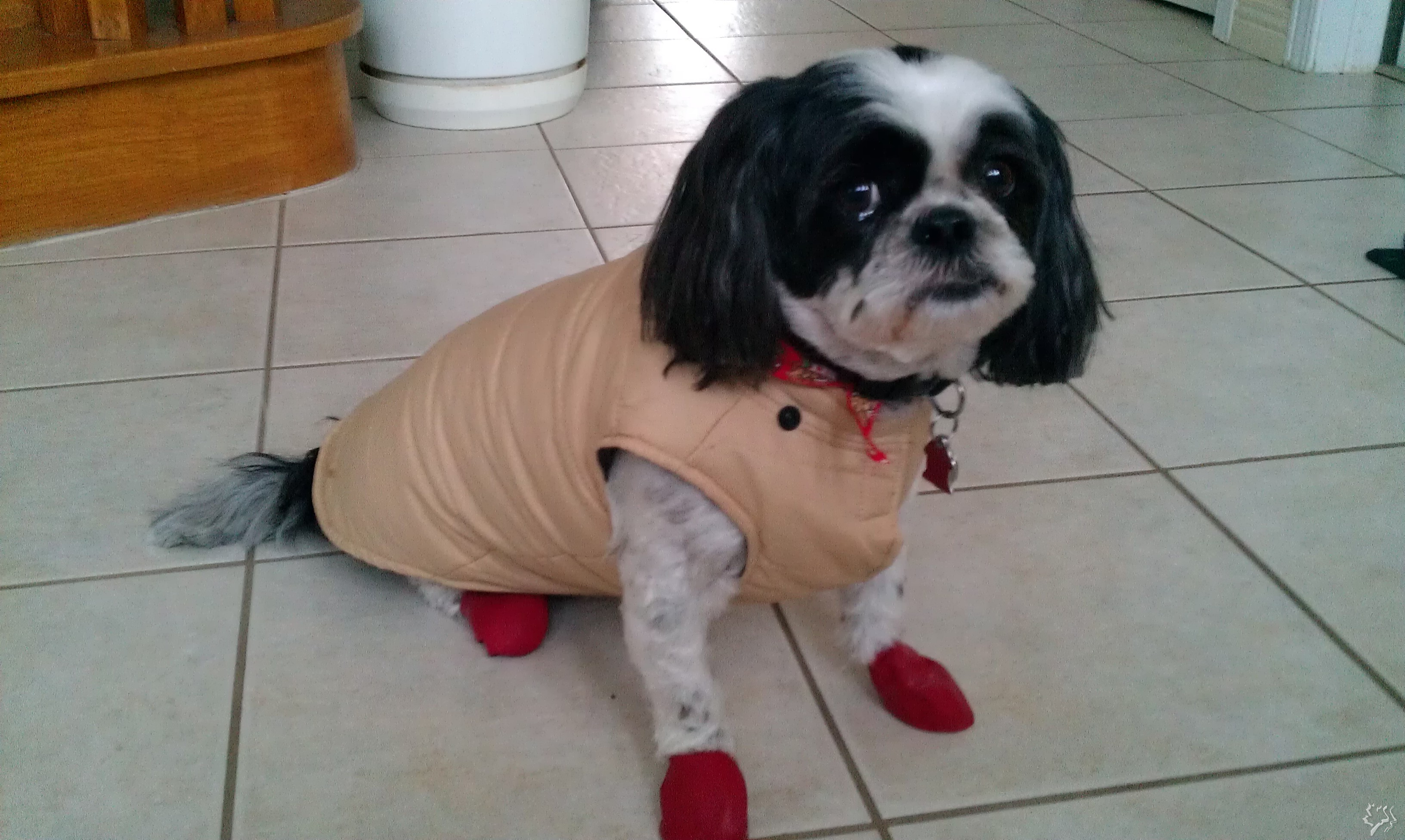IMAG0719.jpg