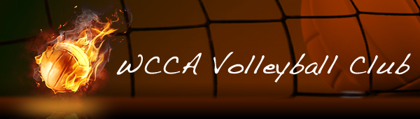 volleyball newsletter.jpg