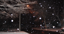 第一场雪已悄然降临