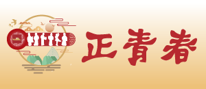 正青春 Forever Young