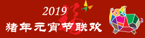 2019 元宵联欢 Lantern Festival