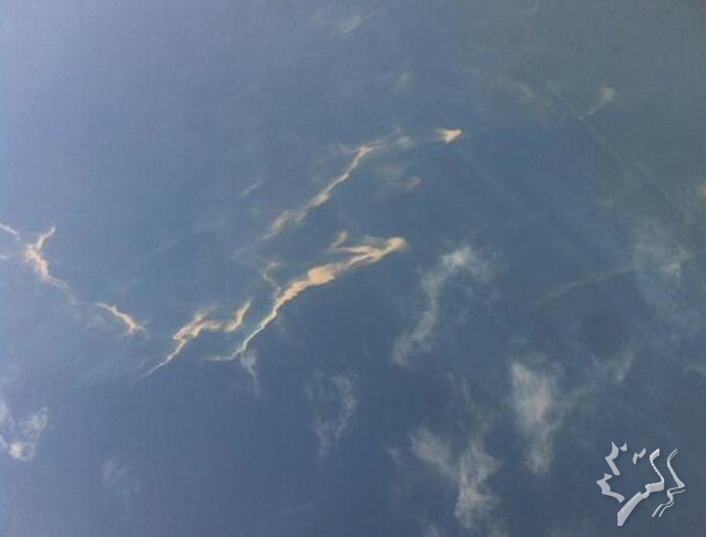 Screen Shot 2014-03-08 at 12.25.28 PM.png