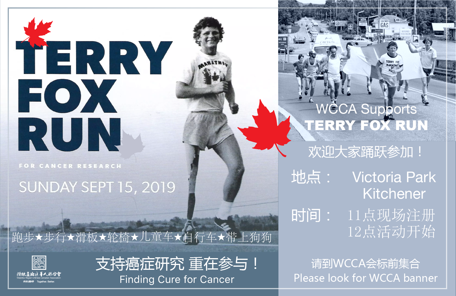 2019 Terry Fox Run.png