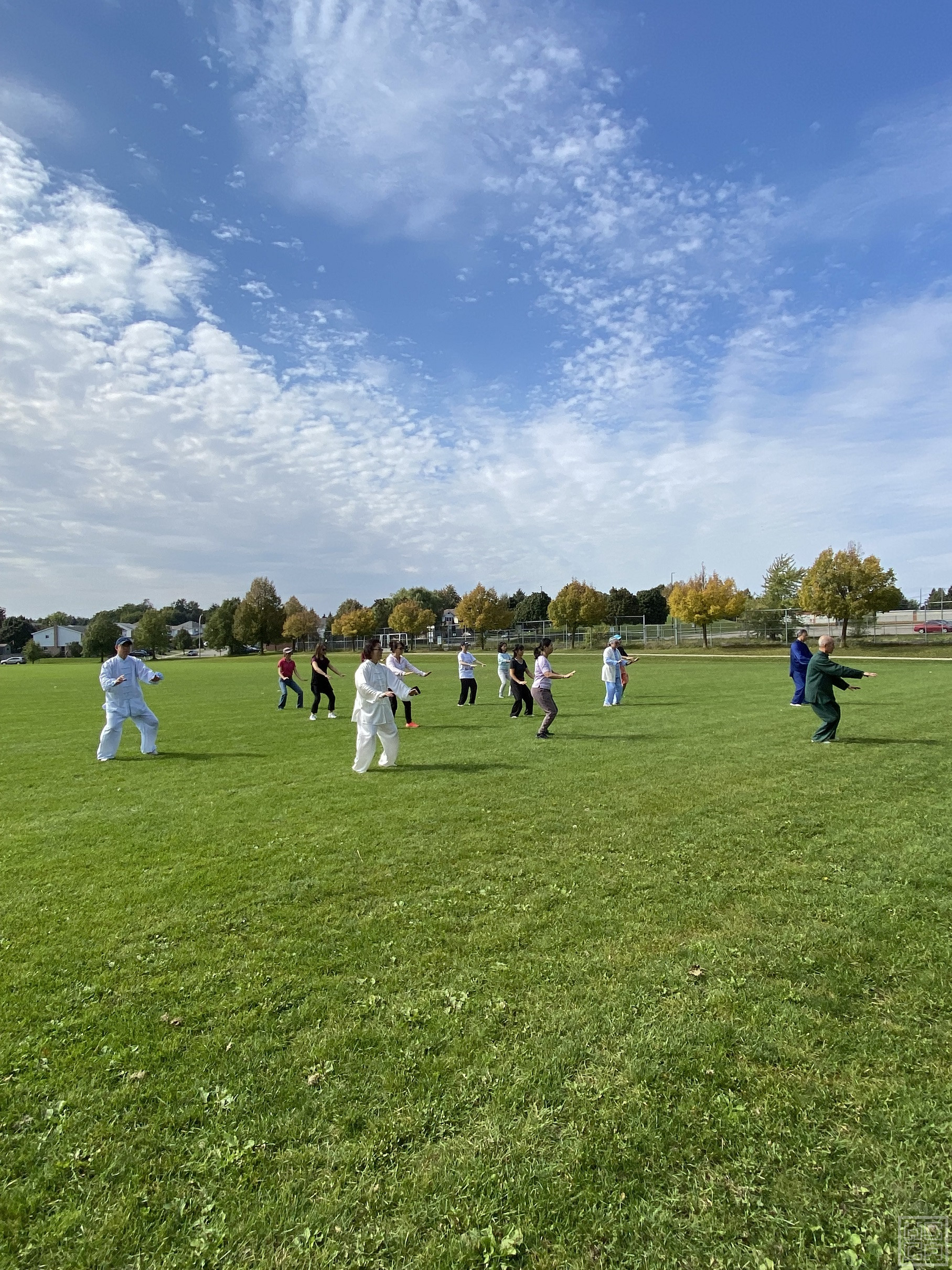 IMG-8709.jpg